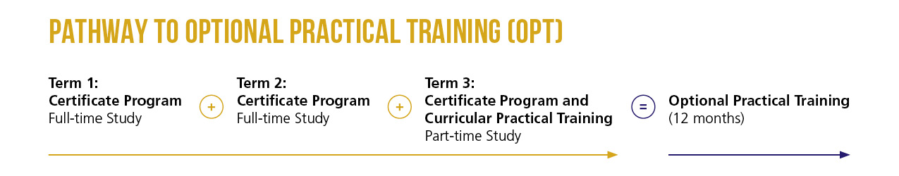 Optional Practical Training (12 months) 3 terms training plan