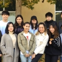 A group of students under a fall tree on campus