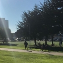 Sunbeam beats down on the SF State campus